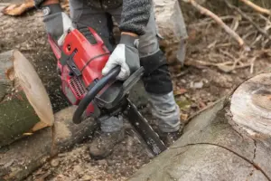 Nachhaltige Holzernte und Forstarbeiten in nordhessischen Wäldern